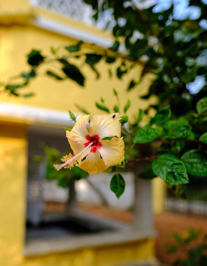 Parul - Elegant Heritage Home At The Heart Of Shantiniketan Bagian luar foto