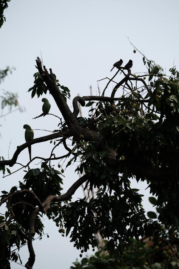 Parul - Elegant Heritage Home At The Heart Of Shantiniketan Bagian luar foto